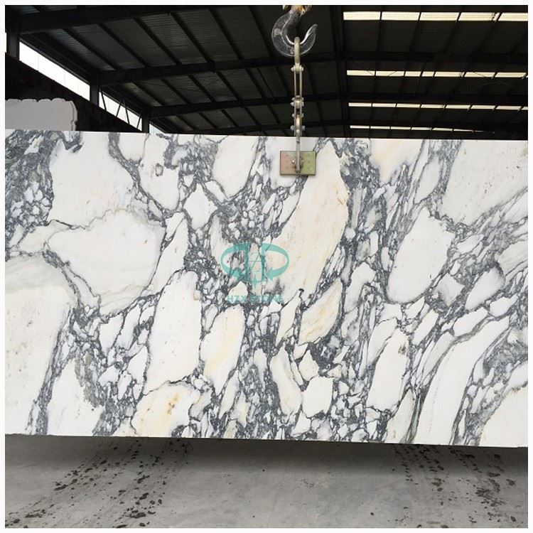 Calacatta Corchia Marble Wall Panel Slab Calacatta Corchia Marble Wall Panel Slab