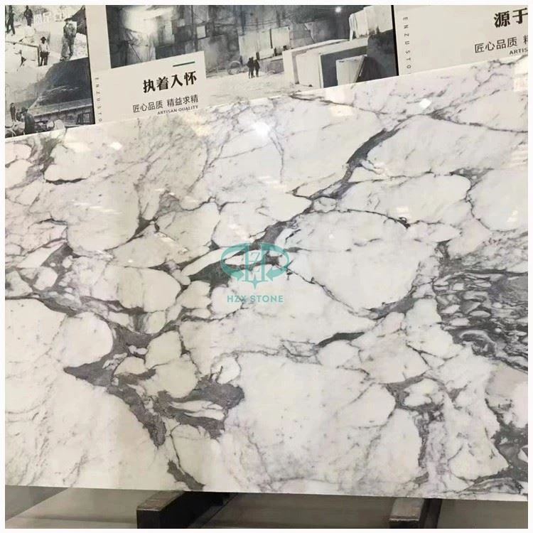 Calacatta Corchia Marble