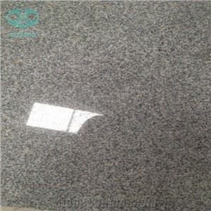 Ochiq kulrang granit G633 plitalari