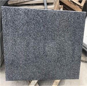 Mashhur quyuq kulrang G654 granit